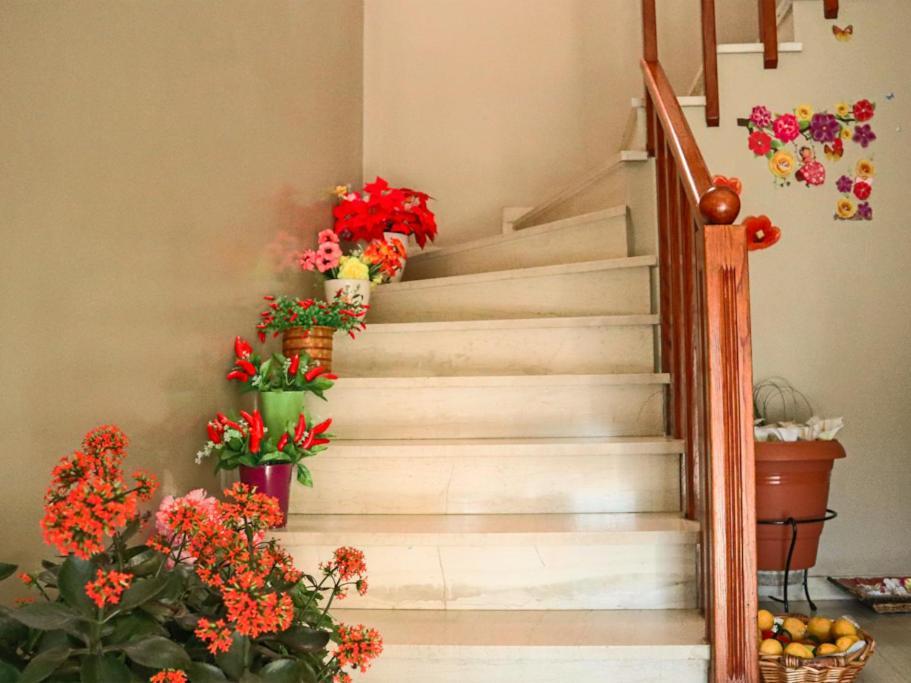 Νatasas Place In Evia Амаринтос Екстериор снимка